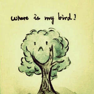 内衣办公室1～3旧番
